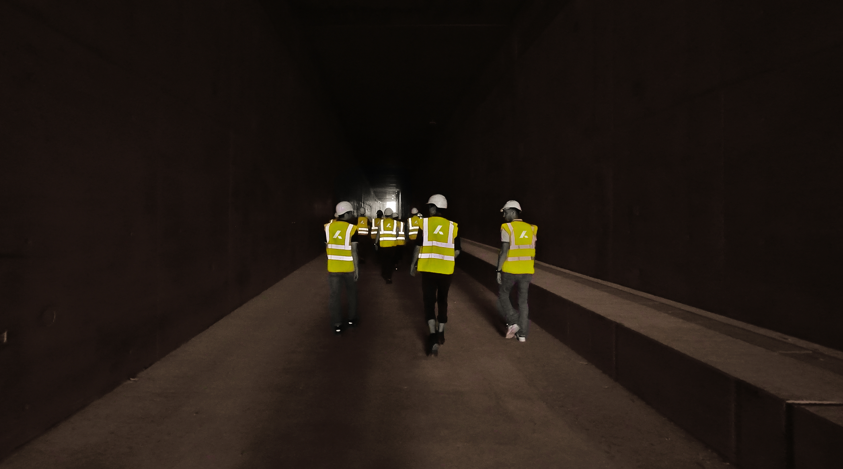 Company Team